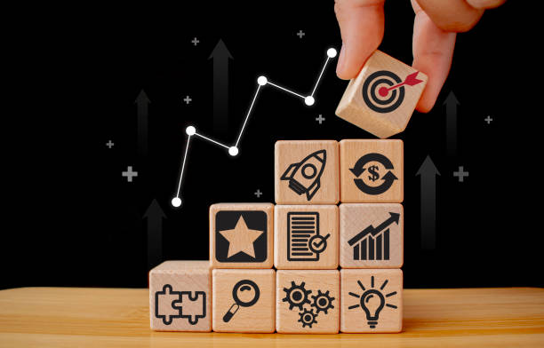 Policy and Economic Strategies