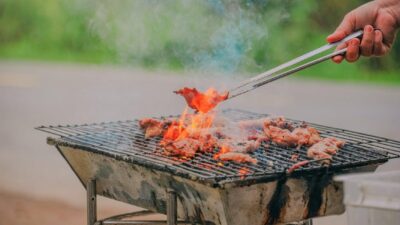 Backyard BBQ Game