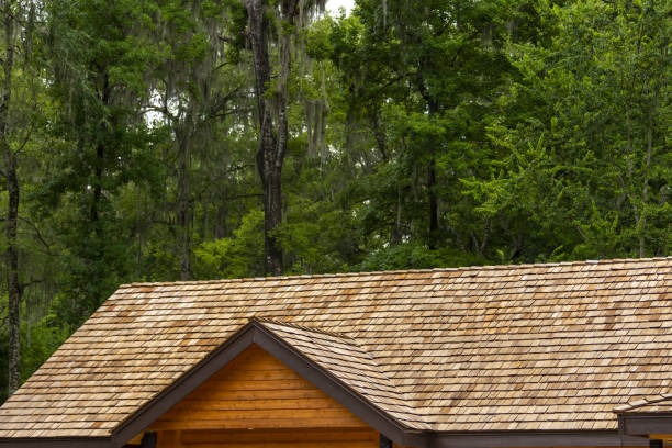 Roof Repairs in Gainesville