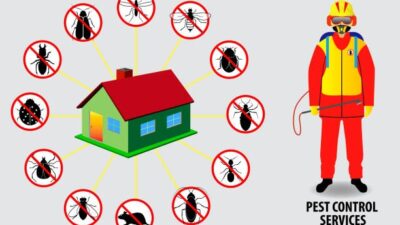 Pests Get Into Your Home