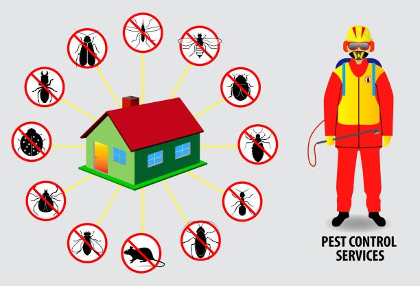 Pests Get Into Your Home